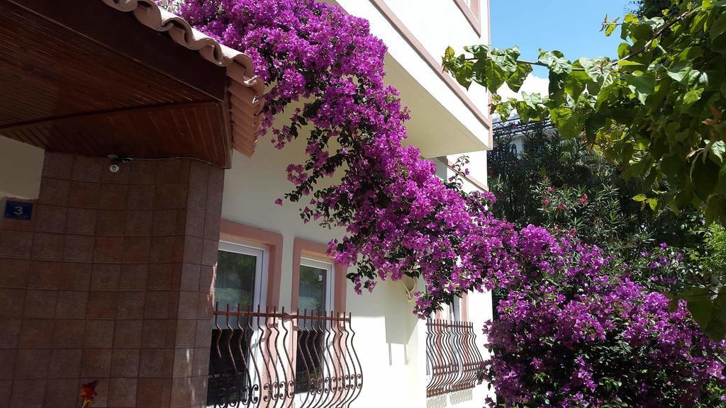 The S Apart & Suites Hotel Alanya Bagian luar foto